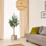 thumbnail of Kunstpflanze / Kunstbaum OLIVE II 150 cm grün hjh OFFICE