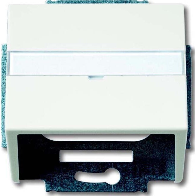 Busch-Jaeger Zentralscheibe stws mt 1758-884 2CKA001724A4307