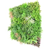 thumbnail of VERT ESPACE plante artificielle mur plaque H 100*100 cm