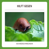 thumbnail of Substral Schneckenkorn Limex Ultra 2 x 500g / 2 x 500qm