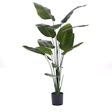 thumbnail of Oiseau du paradis en pot 190 cm -  Vert Autre forme Polyester Amadeus Season 85.00x85.00 cm