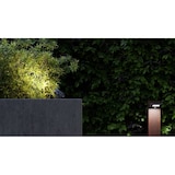 thumbnail of Foco LED redondo ZAS de 7 W IP65, color negro, de Beneito Faure