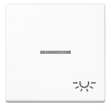 thumbnail of Jung Wippe Symbol Licht bel. A 590 BFKO5 L WW A590BFKO5LWW