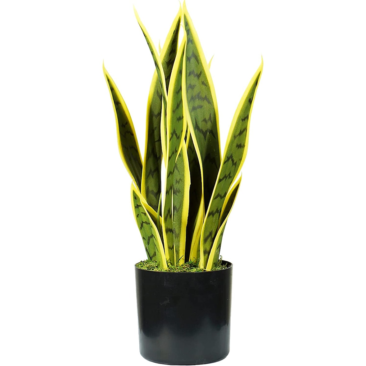 King Home Pianta Sansevieria in polietilene 12 foglie verde