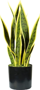 Autres accessoires de décoration Atmosphera - Centre de table 3 Aloe