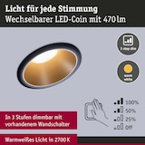 thumbnail of Paulmann LED-inbouwlamp 3-Step-Dim Cole Coin Set van 3  IP44 rond 88mm  Coin 3x6W 3x470lm 230V dimbaar 2700K Zwart#Goud mat 93404
