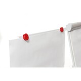 thumbnail of Dahle Flip Chart Team