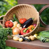 thumbnail of Westmark Sparschäler Gentle, 28042270