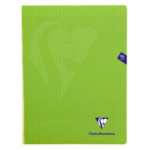 Lot de 10 Cahier Mimesys 24x32, 96p./48 feuilles 90 g/m² piquées, coloris vert, Séyès