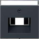 thumbnail of System 55 Zentralplatte, UAE/IAE, schwarz, Befestigung mit Schraube, mit Beschriftungsfeld, 0284005