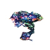 thumbnail of WellHome - Catena di 480 luci LED multicolori per esterni - 3 metri