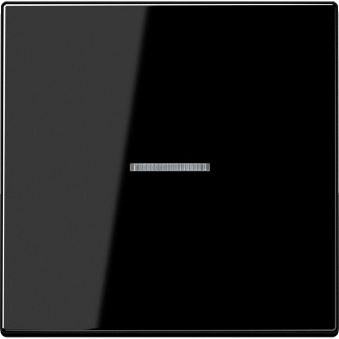 Jung Wippe Lichtleiter ws LS 990 KO5 SW LS990KO5SW