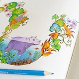 thumbnail of STAEDTLER - Caja de Cartón con 24 Lápices de Colores Surtidos