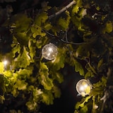 thumbnail of Lumisky Guirnalda conectable PARTY 20 LED 8,7M PVC Transparente