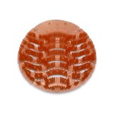 thumbnail of CleanSV Urinalsieb 2.0 Papaya / Citrus Duft 12 Stück Urinaleinlage