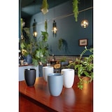 thumbnail of ROSENTHAL THE MUG+ COMFORT BLUE BECHER DOPPELWANDIG - ROSENTHAL THE MUG+ COMFORT BLUE - 1 STÜCK - EINZELARTIKEL (WUNSCHMENGE WÄHLEN)