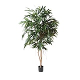 thumbnail of VERT ESPACE plante artificielle ficus alii royal 190 cm