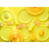 thumbnail of 6 Pappteller 18cm Partyteller Einwegteller plastikfrei Partygeschirr Geburtstag Kindergeburtstag Partydeko Tischdeko Gelb