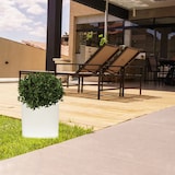 thumbnail of WellHome - Topf 40x40 cm DANI in Weiß