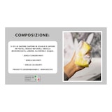 thumbnail of Bio Master 850 Gr con spugna Sgrassa, Pulisce, Lucida, ecobiologico detergente universale