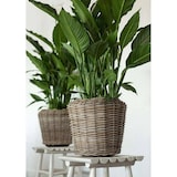 thumbnail of Maceta Seca de Ratán - ø 50 x 52 cm - Jardinera Sostenible con Interior de Plástico Reciclado Impermeable - Macetas de Interior - Gris