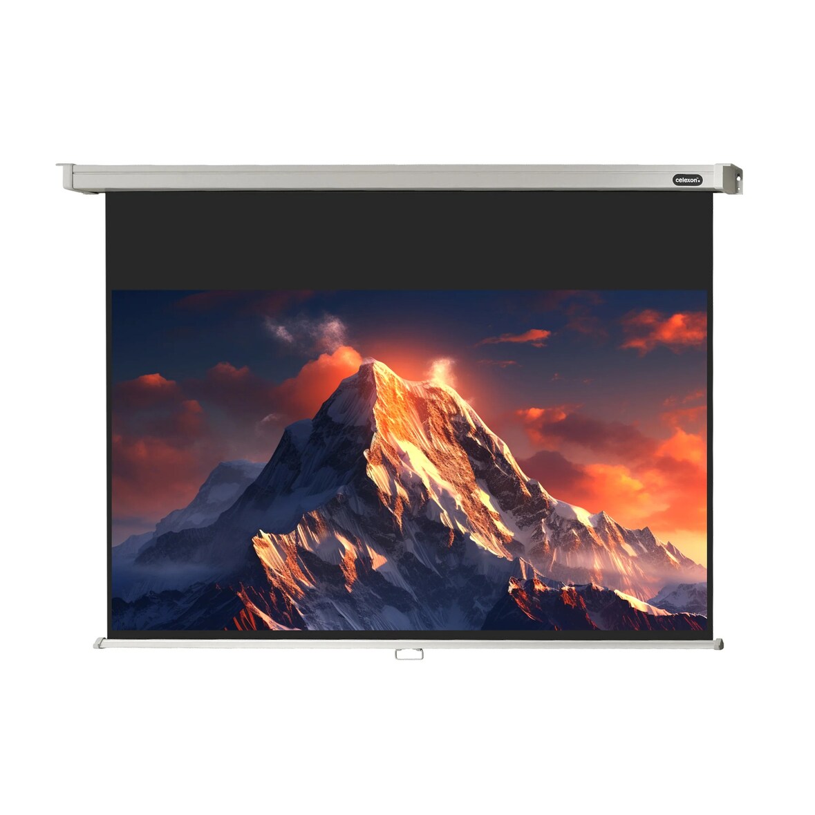 celexon Leinwand Rollo Professional 280 x 158 cm - 127`