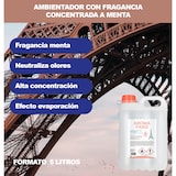 thumbnail of Ambientador con aroma París aroma menta formato 5 litros