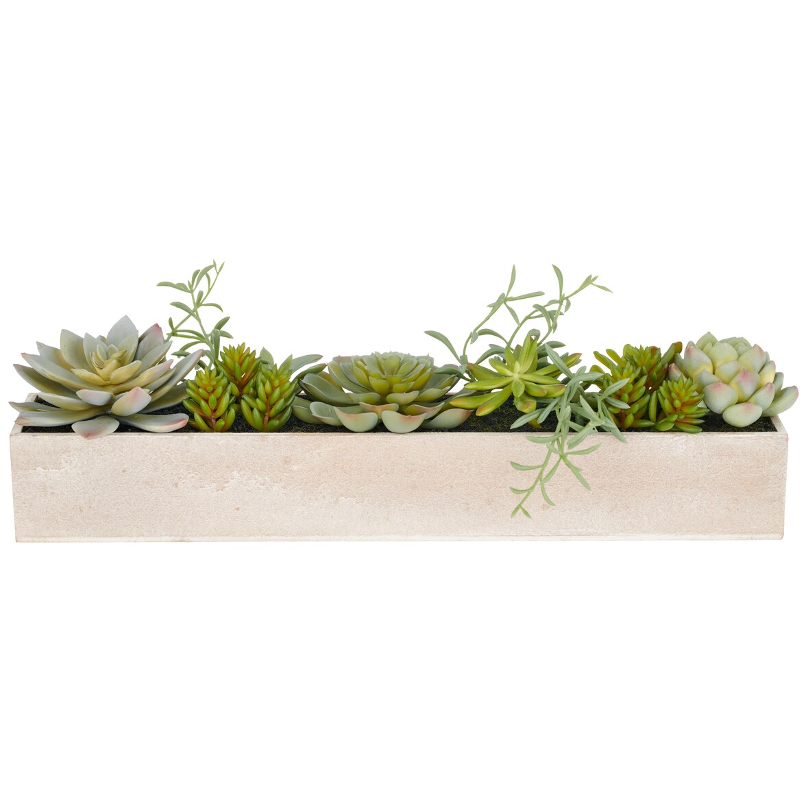 CREATIV green künstliche Pflanze Sukkulentenarrangement im Holzkasten, 10 cm, grün