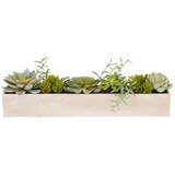 thumbnail of CREATIV green künstliche Pflanze Sukkulentenarrangement im Holzkasten, 10 cm, grün