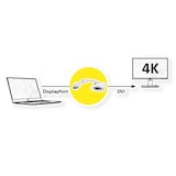 thumbnail of ROLINE 4K DisplayPort-DVI Adapter, DP Stecker-DVI Buchse