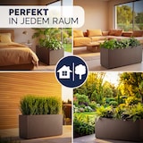 thumbnail of CASARIA® Pflanzkasten Ethica 80x36x36cm Braun