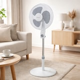 thumbnail of Melchioni Family Ventilador de Pie Ø40 cm, 35 W, 3 Velocidades, Oscilante, Altura Regulable, Base Redonda, Silencioso, Blanco MF1639B
