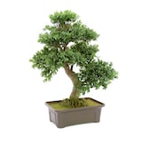thumbnail of EUROPALMS Buchsbonsai, Kunstpflanze, 61 cm