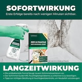 thumbnail of Schimmelentferner mit E-Book - Gegen Schimmel & Stockflecken: 2 x 500 ml