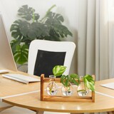 thumbnail of Relaxdays Reagenzglas Vase, runde Glasvasen mit Halterung, Blumen & Pflanzen, HxBxT: 13x28x6,5 cm, transparent/natur