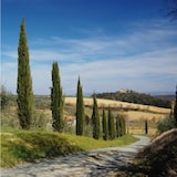 thumbnail of Walimex 19951 Objektivfilter Polarisierender Kamerafilter 5,5 cm