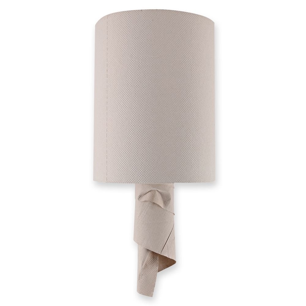 BIO Papierhandtuch 3-lagig FSC®-zertifiziert Innenabwicklung Natur 6 Rollen 22x22 cm