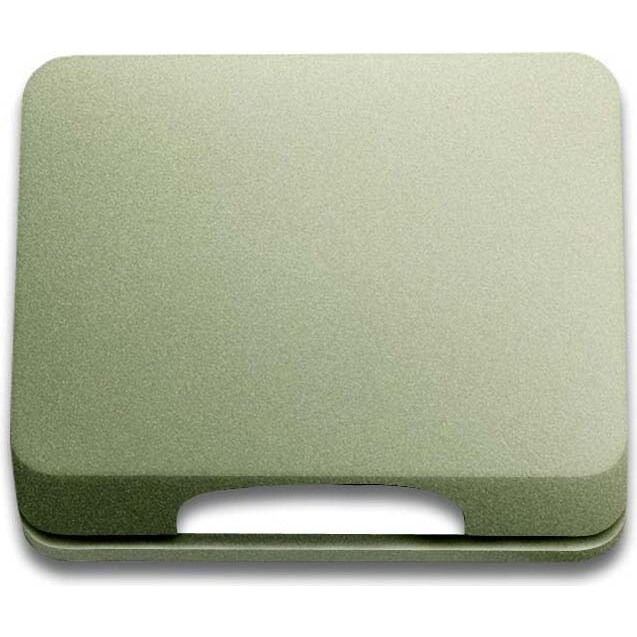 Busch-Jaeger Zentralscheibe pall 1746-260-101 2CKA001710A3313