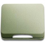 thumbnail of Busch-Jaeger Zentralscheibe pall 1746-260-101 2CKA001710A3313