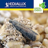 thumbnail of Edialux Green Choice - Trampa Para Polillas De Los Alimentos, 2 Uds.