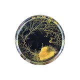 thumbnail of Kit d'élevage Blob Physarum polycephalum Naturalys