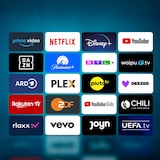 thumbnail of DYON Smart 40 VX-2 Smart LED TV 40 Zoll (100cm), 1.920 x 1.080 Full HD, Hotelmodus, Smart Portal, Triple Tuner, CI+, LAN & WiFi