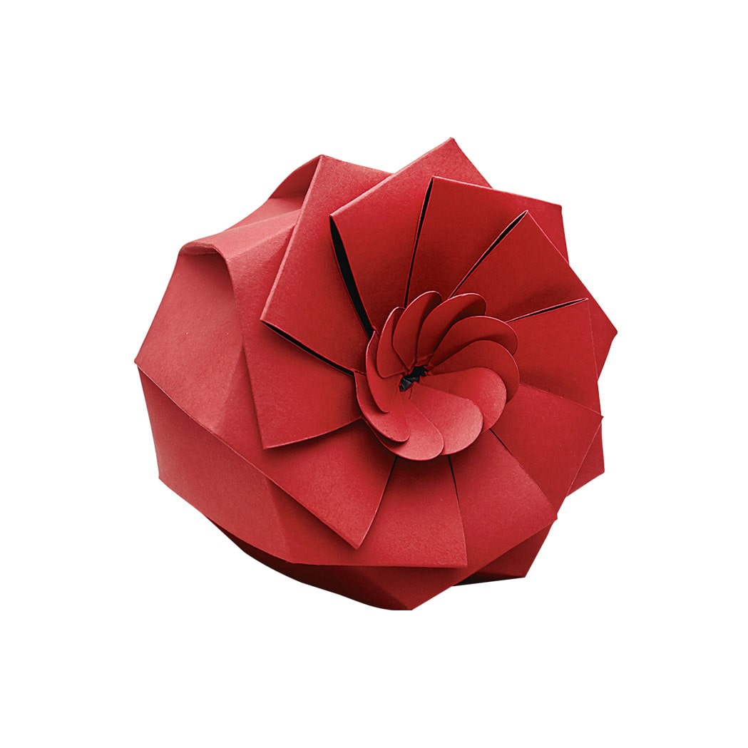 LELU - CA407BR - (Pack de 100 ud) - Recipiente descartável para entrega premium LOTUS - 650 ml - 12 x 7 cm (10 cm Ø base) - Rojo