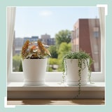 thumbnail of Relaxdays Blumentopf, 2er Set, Pflanztopf mit Untersetzer, Rillen, H x D: 20 x 20 cm, Kräutertopf, Kunststoff, weiß