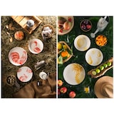 thumbnail of Excelsa vajilla de 18 piezas Faune&flore de cerámica multicolor