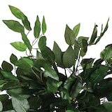 thumbnail of Atmosphera - Ficus artificial en maceta Altura 120