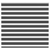 thumbnail of vidaXL Doppelrollo Schwarz 165x150 cm Stoffbreite 160,9 cm Polyester