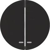 thumbnail of Berker Wippe sw/gl 16272045