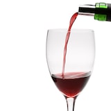 thumbnail of Koala Nature Manchon Glacière 19X15X40Cm