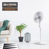 thumbnail of Brandson Standventilator mit 3 Leistungsstufen, 50 W Standlüfter leise, Ventilator höhenverstellbar, mobiler Lüfter, 30 Grad neigbar